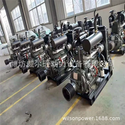 Manufacturer Supplies Weifang Four-Cylinder Avtomobil mühərrikləri