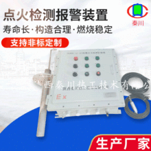 锅炉燃烧控制系统点火检测报警装置 寿命长结构合理燃烧稳定设备