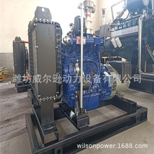 30kw发电机组康明斯 天燃气发电机组50kw 100千瓦沼气小型发电机