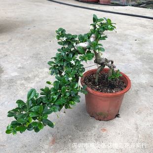 ���l�辰�䘶��骸������_�h��Ůؑȸ÷��������ֲ���ļ�����Gֲ