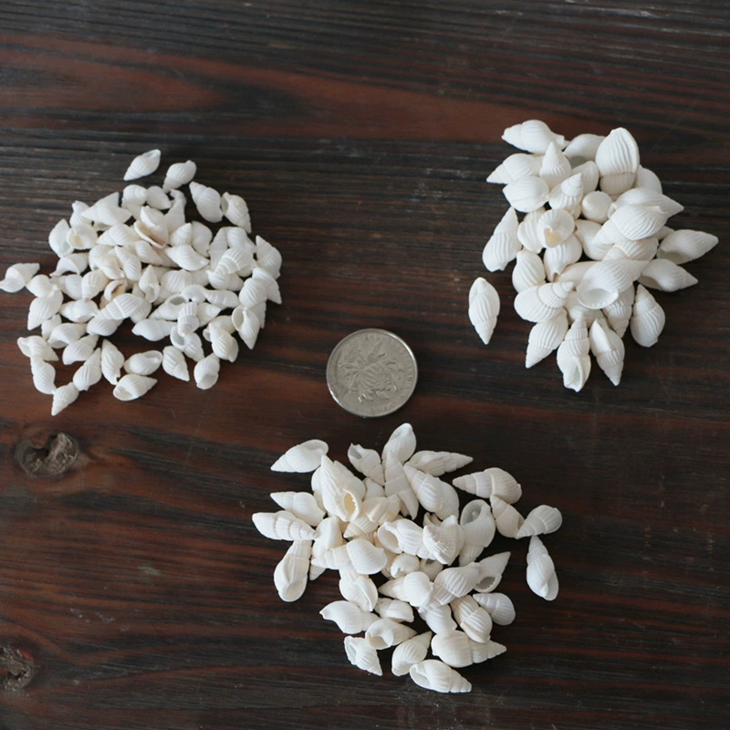 1cm2cm3 белый рис раковина белая раковина аквариум благоустройство DIY средиземноморский микро-ландшафтный орнамент материал маленькая улитка