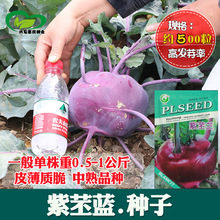 �����m�N�� �r��ˈ@����Ƥ���|��ˮ�������{���߲˷N�����l