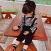 Set, T-shirt, autumn overall, long sleeve, for 3-8 years old