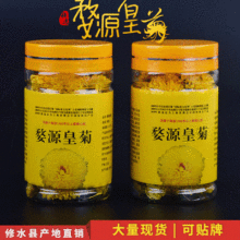 江西修水皇菊罐装15克菊花茶一朵一杯花果茶批发金丝黄菊花大朵