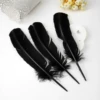 Black turkey nest is approximately 20-30cm50