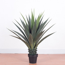 ���������m�辰���鄦�m���� ���W����Gֲ�٘����l�S��ֱ�N