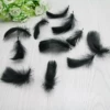 Black small fluttering length is about 4-8cm50 starting approval