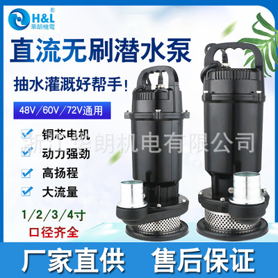 廠家批發新款無刷潛水泵直流電瓶車清水泵家用河道抽水泵農田澆灌