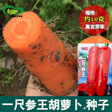 һ�߅������}���N�� �r��ˈ@����Ƥ��о�ۼt�����}���߲���