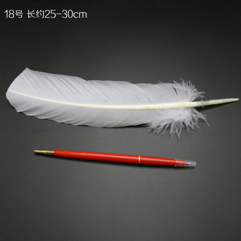 터키 둥지 깃털, 시작 가격은 색상당 50개입니다.