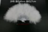 One feather fan
