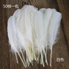 A color of white nests, a color of 50 roots