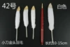 Bai Xiaodao Golden Tour, a color of 50 roots