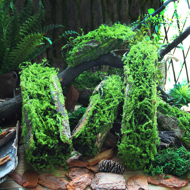 Creative Moss and Moss Bark Ornaments Handmade Garden Decoration Scenery Window Tropical Rainforest Plant Corner Design