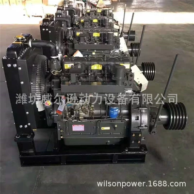 Avtomobil mühərrikləri Zh4100/4102 Diesel Engines for