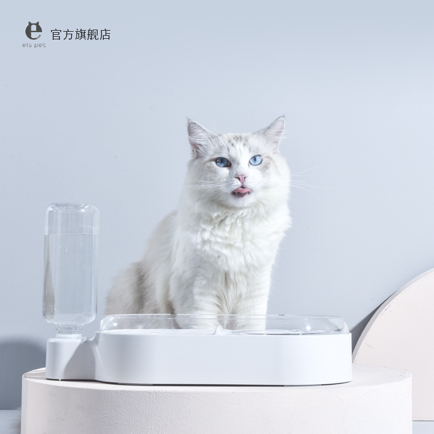 고양이 그릇 개 그릇 더블 그릇 자동 식수 누수 방지 식품 두드리는 고양이와 개 분지 이중 목적 자동 식수 공급 애완 동물 용품