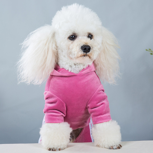 Velvet Dog Clothes Four-Legged Sweatshirt Spring and Autumn Set Teddy Small Dog Clothes Sports One-Piece Pet Four-Legged Outfit