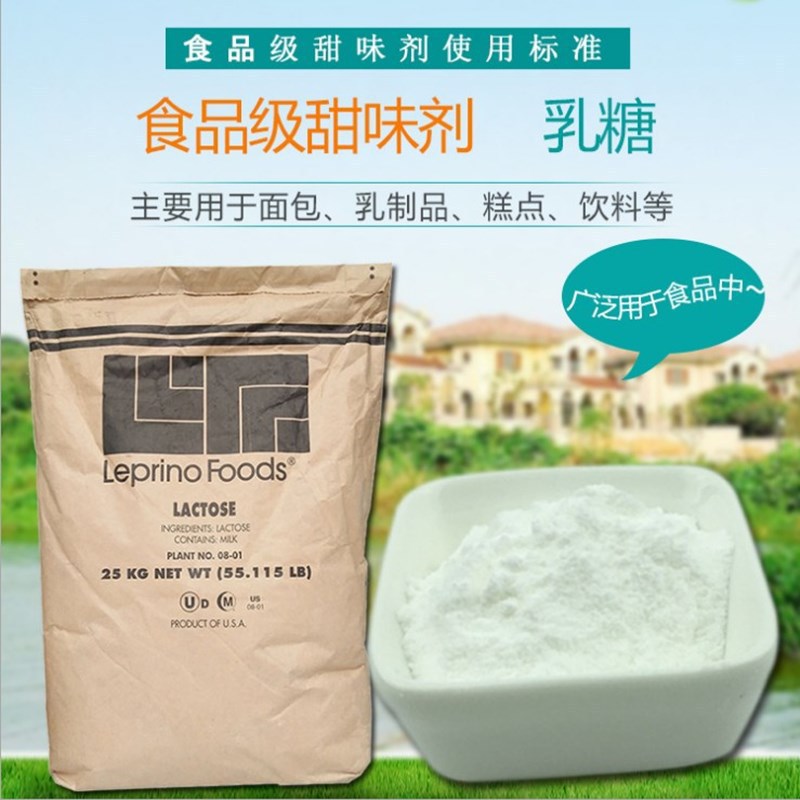 现货供应乳糖 食品级 乳糖 食品级甜味剂乳糖 量大从优