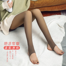 秋冬加绒加厚提臀网红空姐灰透肤网纱平腰打底裤女修身保暖一体裤