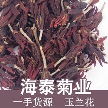 海泰散装批发500g干兰花玉兰花玉兰花茶玉兰花干花花草茶源头厂家