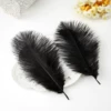 Black 20-25cm ostrich hairy 50 starts from approval