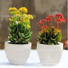 ����ֱ�N  �ذ��L�ۻ� С���� ����ȩ ����ă�