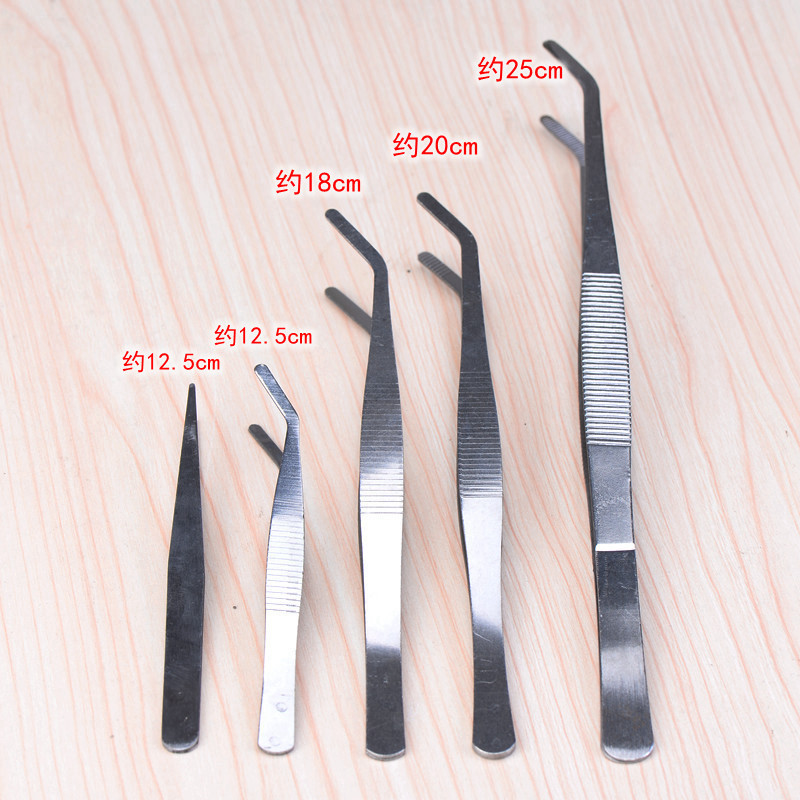 Stainless steel tweezers Moss micro landscape ornaments fleshy gardening DIY tools factory outlet