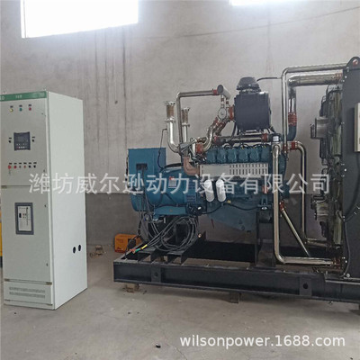 300kw沼气发电机 600kw燃气发电机组厂家 天然气发电机燃气发电机|ms