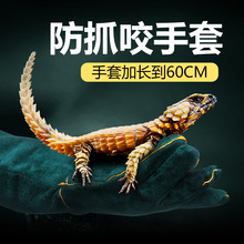 �����ҧ����ţƤӖȮ�Ӻ��ҧ؈�����ץҧ���߷�ҧ���L���o����