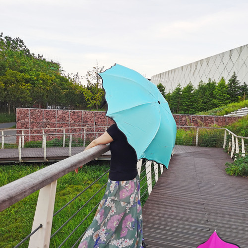 Umbrellas bloom when exposed to water, gift umbrellas, vinyl anti-UV parasols, sun umbrellas, tri-fold umbrellas, umbrellas