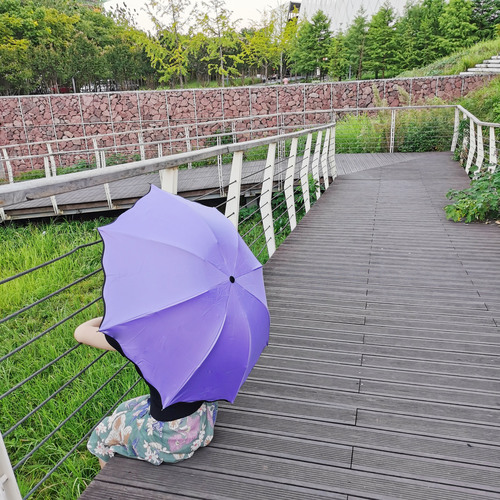 Umbrellas bloom when exposed to water, gift umbrellas, vinyl anti-UV parasols, sun umbrellas, tri-fold umbrellas, umbrellas