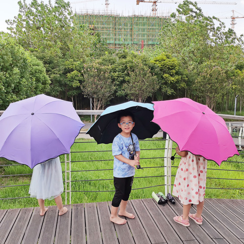 Umbrellas bloom when exposed to water, gift umbrellas, vinyl anti-UV parasols, sun umbrellas, tri-fold umbrellas, umbrellas