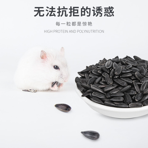 Chongshangtian pet natural oil sunflower seeds hamster rabbit guinea pig chinchilla snacks bird snacks small pet snacks
