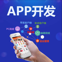 软件开发程序代写JAVAC#PHP企业安卓IOS小程序APP