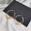 Hula hoop, brand earrings, suitable for import, European style