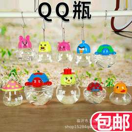 塑料透明QQ金鱼瓶qq鱼瓶 鱼盒乌龟缸龟盒汇总乌龟缸生态水母瓶盒