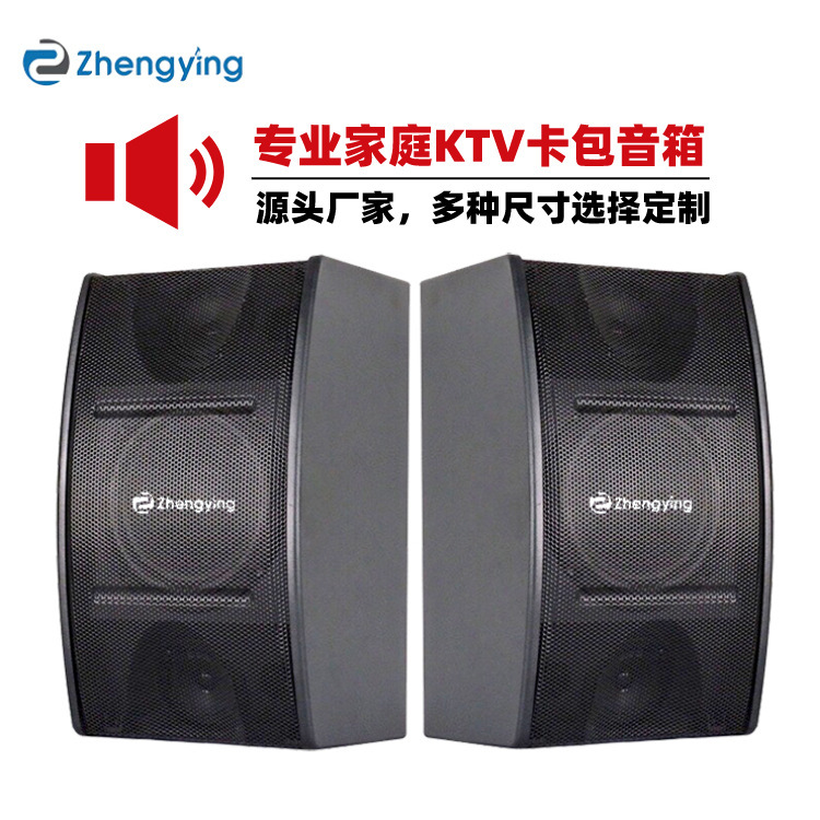 Fever grade home karaoke 10 inch passive speaker large KTV wedding Conference Room Special card audio Fever grade home karaoke 10 inch passive speaker large KTV wedding Conference Room Special card audio