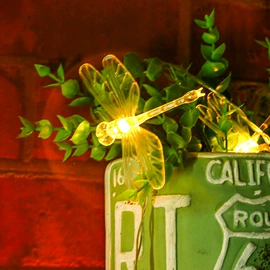 室内LED;LED装饰灯;室外LED