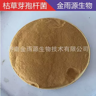 枯草芽孢杆菌1000亿 水溶农用饲料添加水产养殖用枯草芽孢杆菌