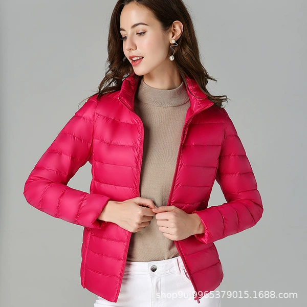 Rose red standing collar