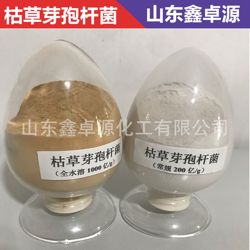 枯草芽孢杆菌 200亿常规 农业枯草芽孢杆菌