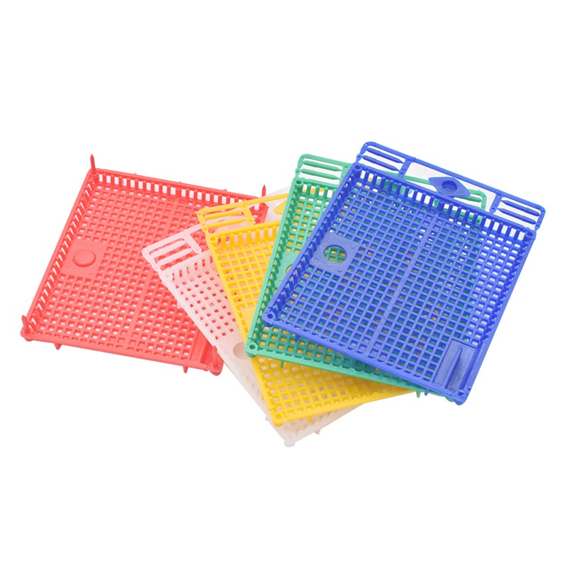 【小额批发】跨境出口 养蜂工具 新款扣脾使用5色塑料介绍蜂王笼