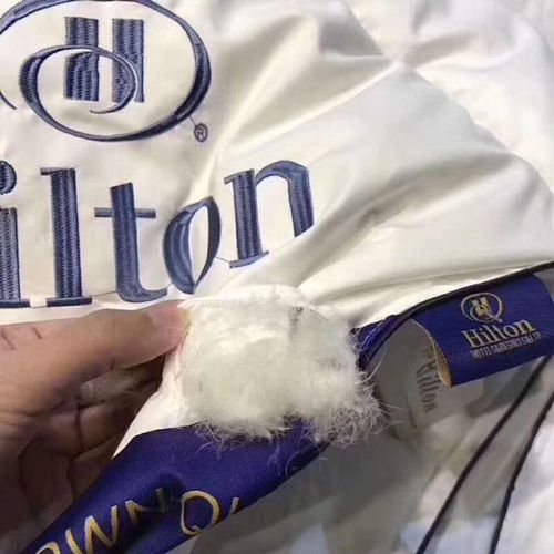 Direct selling duvet autumn and winter thickened warm quilt Hilton hotel hotel goose down quilt core gift group purchase and delivery