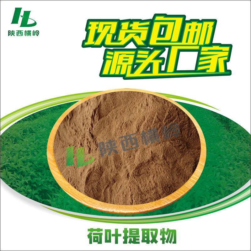 荷叶提取物 30:1荷叶粉 含荷叶碱 莲叶提取物 水溶原料 量大优惠