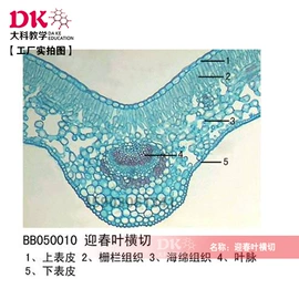 生物教学器材;教学仪器;实验室仪器