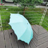 Small handheld umbrella for beloved