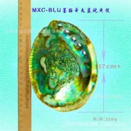 工艺原料;海螺/贝壳;其他药食同源