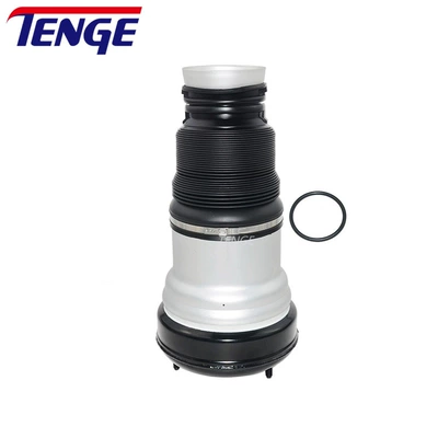 damping system Front Repair Kit, Shock