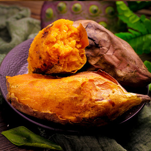 ������������ 5/9���r�����r�F������Ŵɳ�ؼt�����t��ع����l