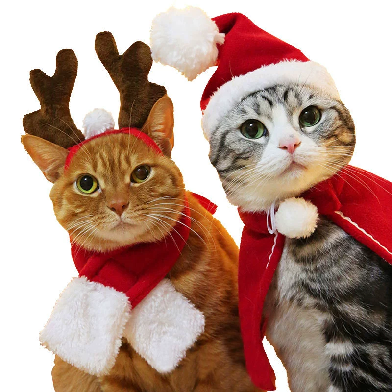 Товары для внешней торговли: головные уборы для кошек (повязки на голову, шапки, шарфы), одежда для собак, накидки для кошек, головные уборы, плащи, забавные рождественские костюмы
